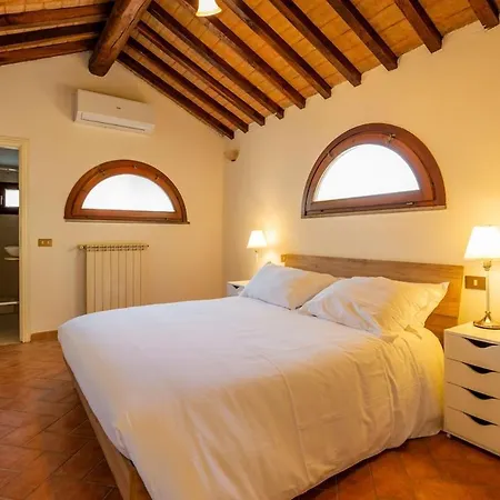 Windrose Di Gio